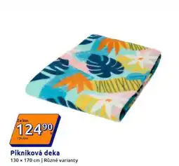 Action Pikniková deka nabídka