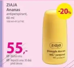 Hebe ZIAJA Ananas nabídka