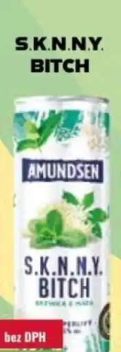 Ratio Amundsen S.k.n.n.y. bitch nabídka