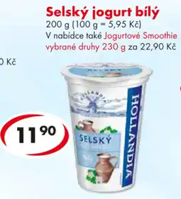 CBA HOLLANDIA Selský jogurt bílý nabídka