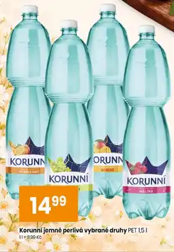 TEMPO Korunní jemně perlivá nabídka