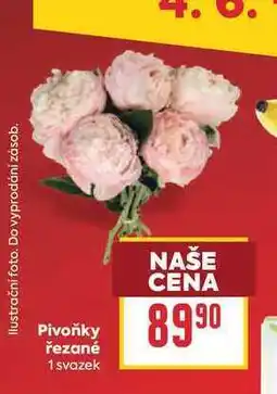 Billa Pivoňky řezané 1 svazek nabídka