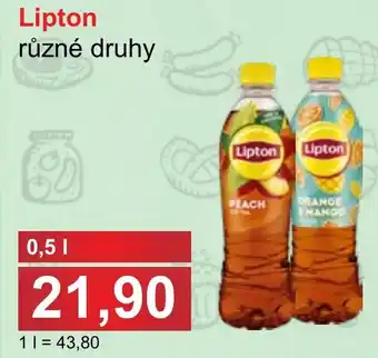 PLUS JIP Lipton nabídka