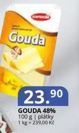 Potraviny CZ Gouda 48% nabídka