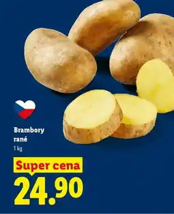 Lidl Brambory rané nabídka