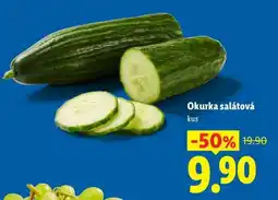 Lidl OKURKA SALÁTOVÁ nabídka