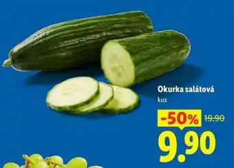 OKURKA SALÁTOVÁ