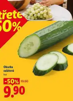Lidl OKURKA SALÁTOVÁ nabídka