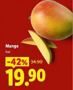Lidl Mango nabídka