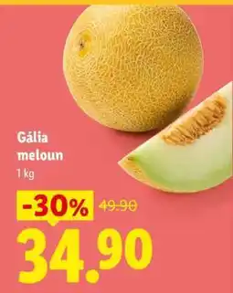 Lidl Gália meloun nabídka