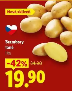 Lidl Brambory rané nabídka