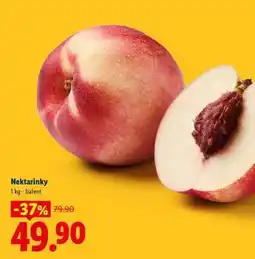 Lidl Nektarinky nabídka