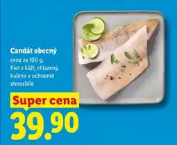 Lidl Candát obecný nabídka
