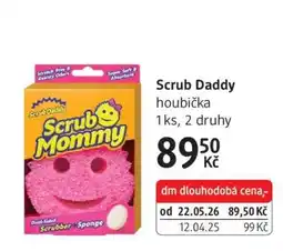 dm drogerie Scrub Daddy nabídka