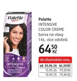 dm drogerie Palette nabídka