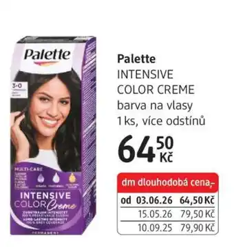 dm drogerie Palette nabídka