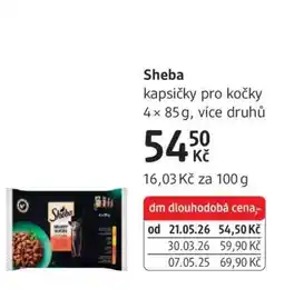 dm drogerie Sheba nabídka