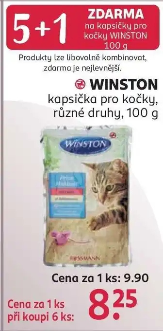 WINSTON kapsička pro kočky