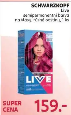 Rossmann Schwarzkopf Live nabídka