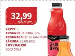 Kubík potraviny Cappy nabídka