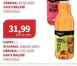 Kubík potraviny Cappy nabídka