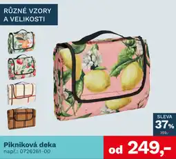 Asko Pikniková deka nabídka