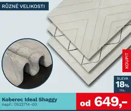 Asko Koberec Ideal Shaggy nabídka