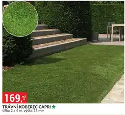 Baumax Trávní koberec capri nabídka