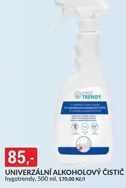 Baumax Univerzální alkoholový čistič nabídka
