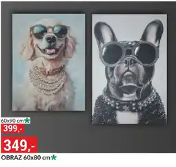 Baumax Obraz nabídka