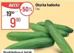 Globus Okurka hadovka nabídka