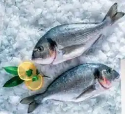 Globus Pražma královská celá kuchaná nabídka