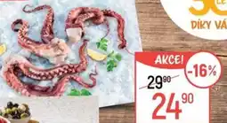 Globus Kalamáry chapadla nabídka
