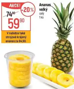 Globus Ananas velký nabídka