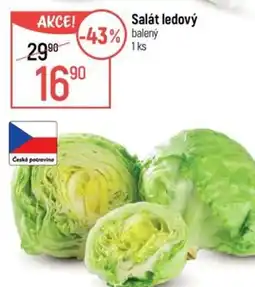 Globus Salát ledový nabídka