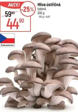 Globus Hlíva ústřičná nabídka