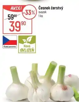 Globus Česnek čerstvý nabídka