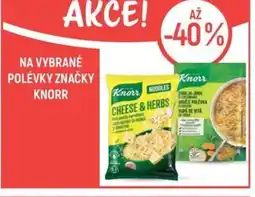 Globus Na vybrané polévky značky knorr nabídka
