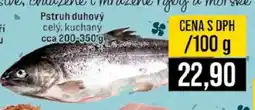 Jip Pstruh duhový nabídka