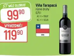 Globus Viña Tarapacá nabídka