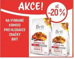 Globus Na vybrané krmivo pro hlodavce značky Brit nabídka