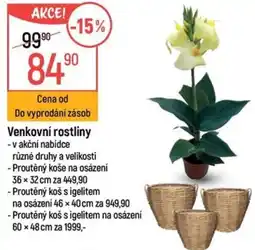 Globus Venkovní rostliny nabídka