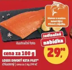 Penny Market Losos divoký keta filet nabídka