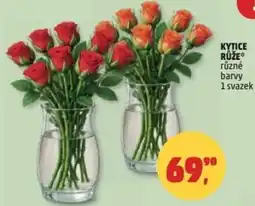 Penny Market Kytice růže nabídka