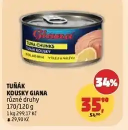 Penny Market Tuňák kousky giana nabídka