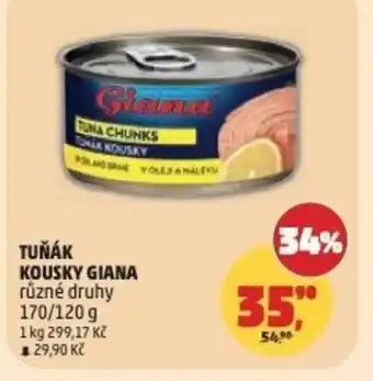 Penny Market Tuňák kousky giana nabídka