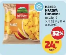 Penny Market Mango mrazivá čerstvost mražené nabídka
