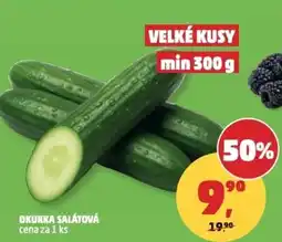 Penny Market Okurka salátová nabídka