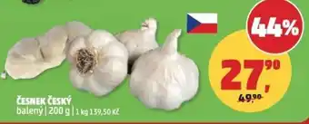 Penny Market Česnek český nabídka