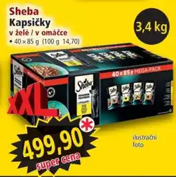 Norma Sheba Kapsičky nabídka